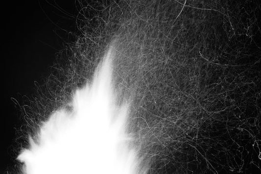 Sometimes All It Takes Is a Spark. - baj.